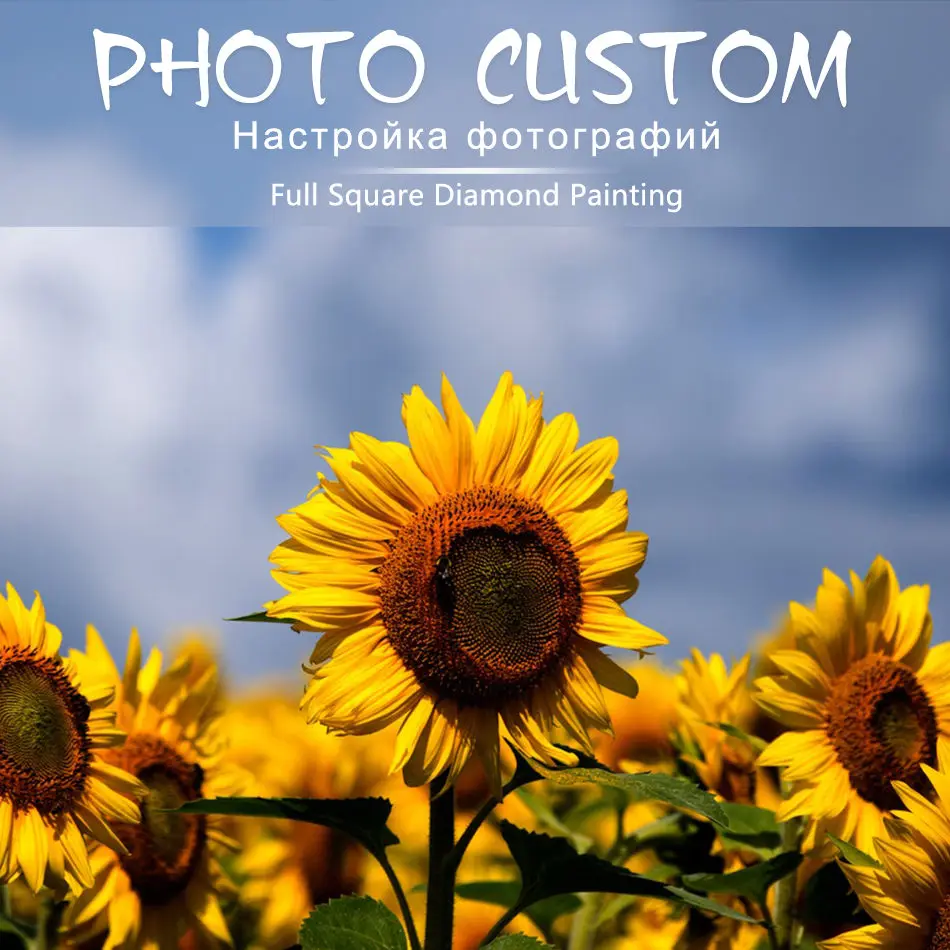 Custom Photo! Flowers photos Full Square/Round Drill 5D DIY Diamond Painting Personal Custom Cross Stitch 5D Mosaic Embroidery
Custom Photo! Flowers photos Full Square/Round Drill 5D DIY Diamond Painting Personal Custom Cross Stitch 5D Mosaic Embroidery