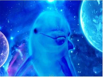 Marines life DIY Diamond Painting dolphins full square DIY Diamond embroidery full round sea turtle Diamond painting Mosaic sea
Marines life DIY Diamond Painting dolphins full square DIY Diamond embroidery full round sea turtle Diamond painting Mosaic sea