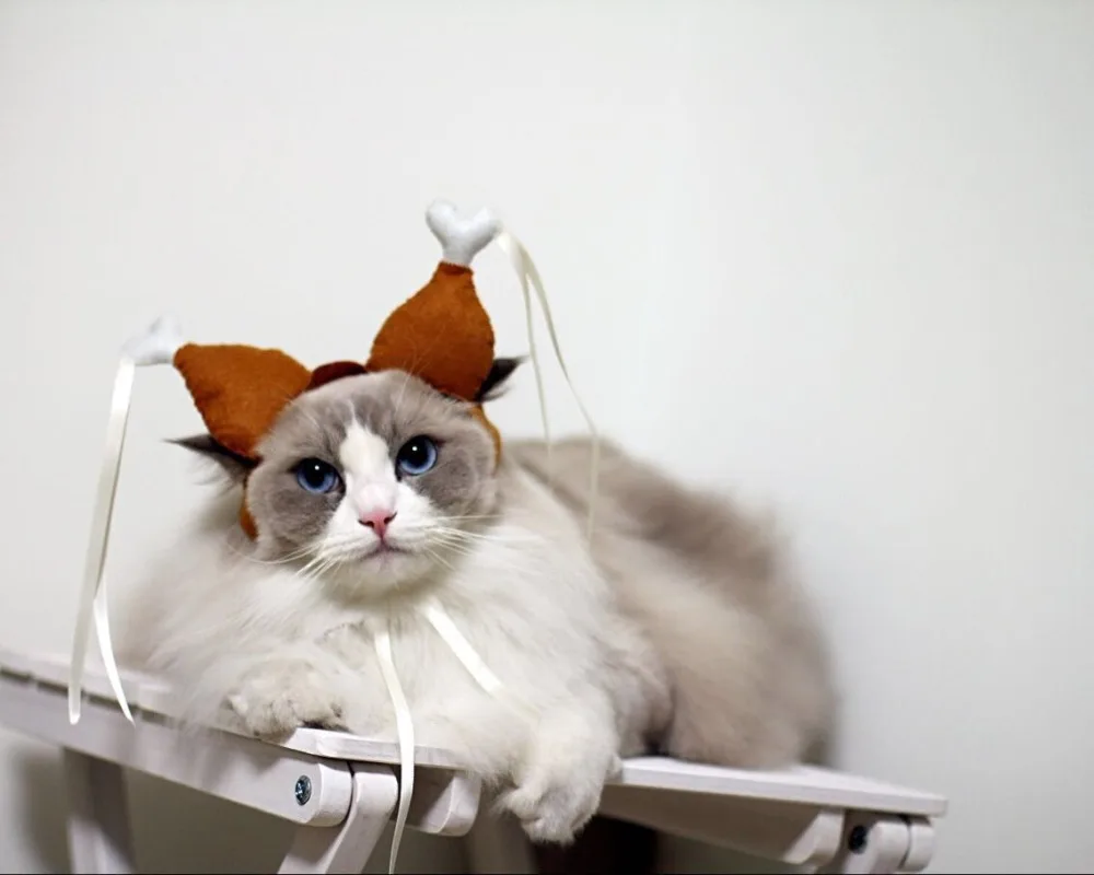 Pet Bow Dog Beauty Dress Up Accessories Snow Yarn Hairpin Princess Hairpin Pearl Head Jewelry
Pet Bow Dog Beauty Dress Up Accessories Snow Yarn Hairpin Princess Hairpin Pearl Head Jewelry
