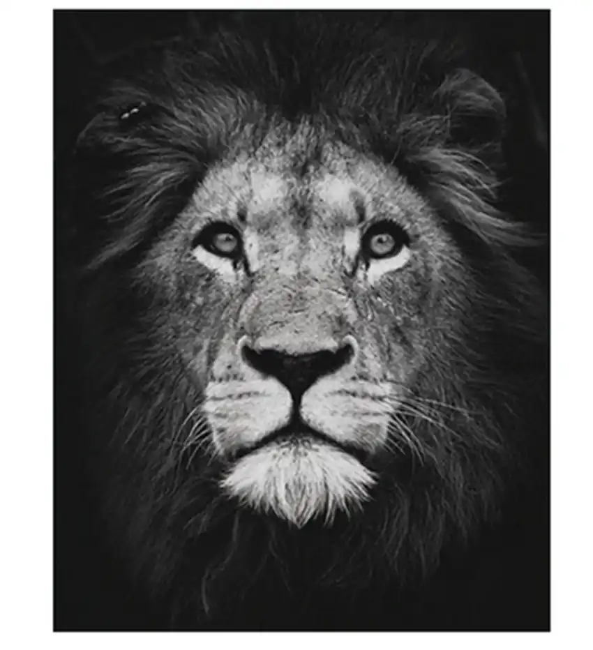 diy digital paints picture donkey kong optimus prime artwork