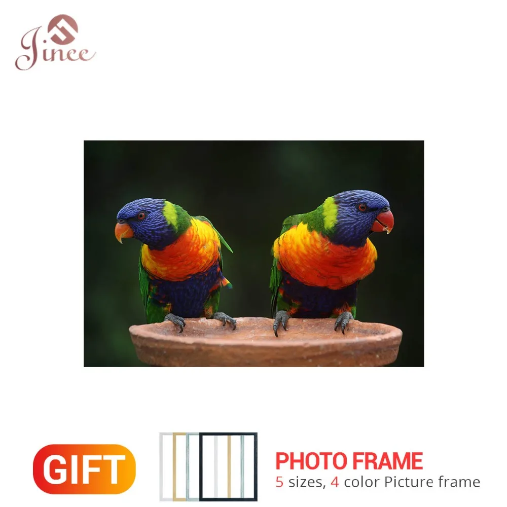 5D DIY Diamond Painting Bird Lorikeet Parrot Diamond Embroidery Rainbow Color Cross Stitch Needlework Home Decor Kid's Gift
5D DIY Diamond Painting Bird Lorikeet Parrot Diamond Embroidery Rainbow Color Cross Stitch Needlework Home Decor Kid's Gift
