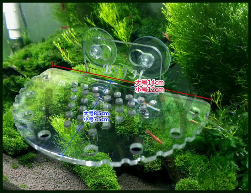 HONGYI 1piece S L size fish tank acrylic aquatic landscaping platform aquatic planting platform aerial platform with suction cup 
HONGYI 1piece S L size fish tank acrylic aquatic landscaping platform aquatic planting platform aerial platform with suction cup