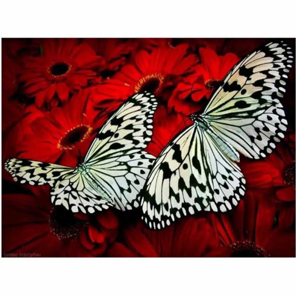 Flower diy diamond painting flowers diamond painting full round butterfly flowers daimond painting flowers diamond embroidery
Flower diy diamond painting flowers diamond painting full round butterfly flowers daimond painting flowers diamond embroidery