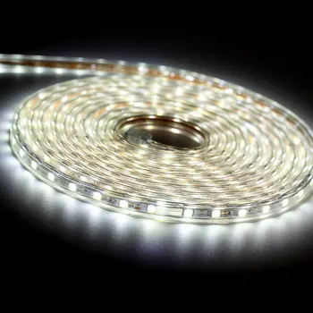AC220V Volt Strip Led Light Tape 5050 RGB Waterproof 1/2/3/5/10M 60LED/M RGB Led Strip Tape Lamp Diode Flexible TV Backlight 
AC220V Volt Strip Led Light Tape 5050 RGB Waterproof 1/2/3/5/10M 60LED/M RGB Led Strip Tape Lamp Diode Flexible TV Backlight