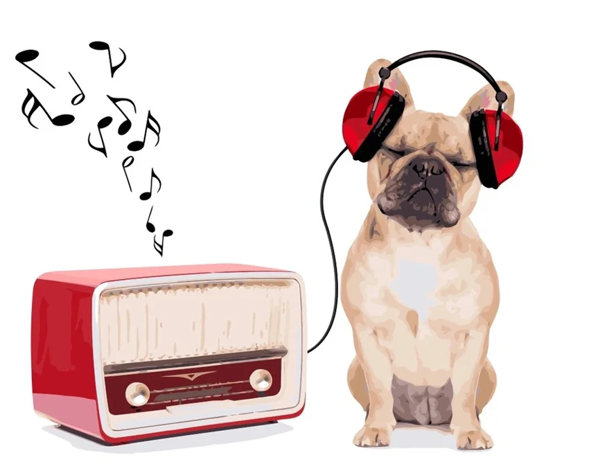 DIY Digital Painting By Numbers Package Dog listening to music Coloring Wall Art Picture Gift frameless
DIY Digital Painting By Numbers Package Dog listening to music Coloring Wall Art Picture Gift frameless