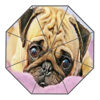 Nice Happy Pug Umbrella Custom Sunny and Rainy Umbrella Design Portable Fashion Stylish Useful Umbrellas Good Gift 
Nice Happy Pug Umbrella Custom Sunny and Rainy Umbrella Design Portable Fashion Stylish Useful Umbrellas Good Gift