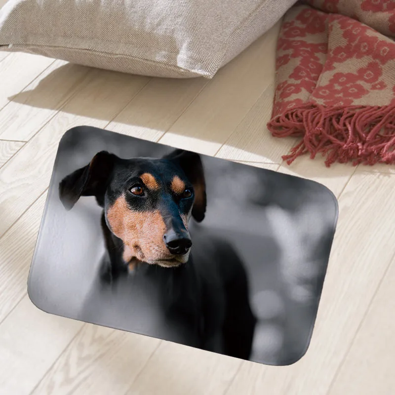 Cat dog photo print floor mat hallway doormat suede Welcome entrance door mat anti-slip water Water absorption 40x60cm carpet QX
Cat dog photo print floor mat hallway doormat suede Welcome entrance door mat anti-slip water Water absorption 40x60cm carpet QX