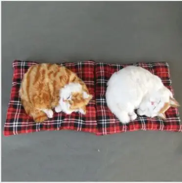 WYZHY simulation animal will call sleeping cat ornaments static toy model photography window props children early education
WYZHY simulation animal will call sleeping cat ornaments static toy model photography window props children early education