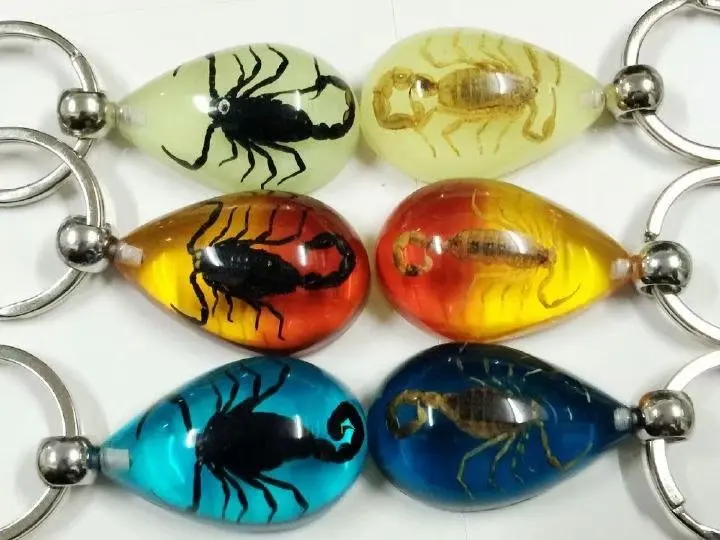free shipping yqtdmy 15 pcs mixed color drop black gold scorpion king Taxidermy charming Keychain
free shipping yqtdmy 15 pcs mixed color drop black gold scorpion king Taxidermy charming Keychain