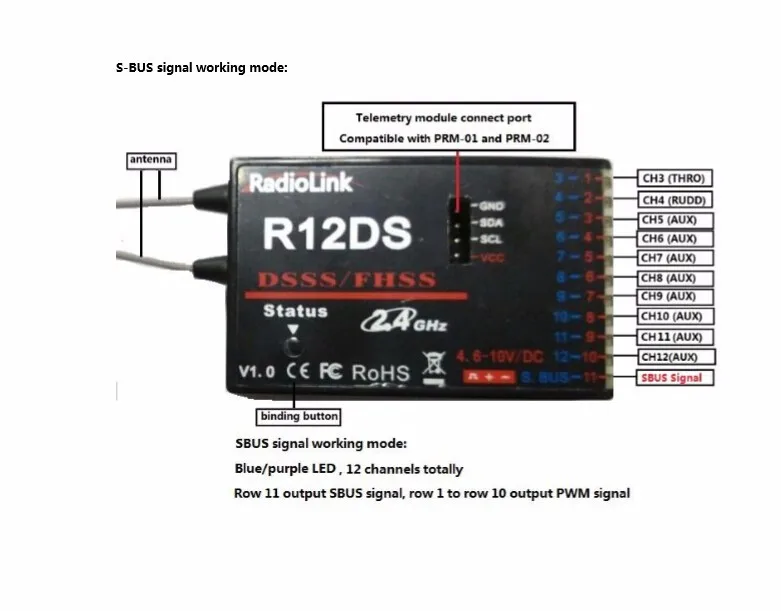 R12DS-1