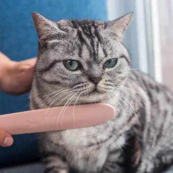 Simulation Cat Tongue Massage Comb Portable Pet Hair Removal Comb Pet Grooming Cleaning Supplies for Pet Kitten Beauty Care Tool
Simulation Cat Tongue Massage Comb Portable Pet Hair Removal Comb Pet Grooming Cleaning Supplies for Pet Kitten Beauty Care Tool