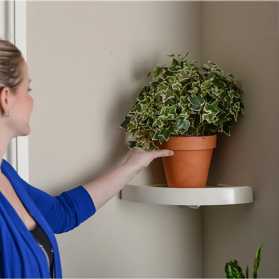 3005259018_521766427