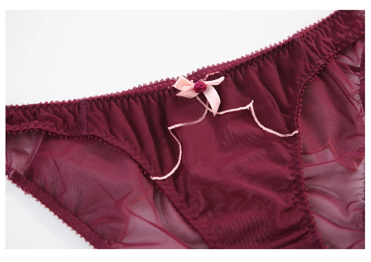 TERMEZY 2019 new Sexy Lace bar set ultra thin net gauze transparent Lingerie Set Push up brassier Fashion lace underwear (3)