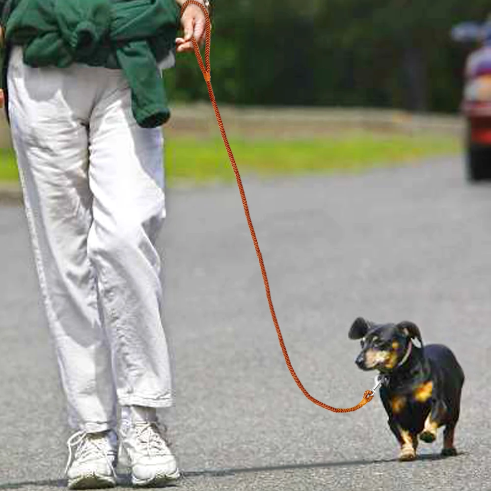 Braided Leather Puppy Walking Leash Leads Brown Color 4ft Long | DogsMall-International