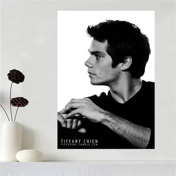Custom canvas poster Art Dylan O'brien Home Decoration poster cloth fabric wall poster print Silk Fabric Print SQ0527
Custom canvas poster Art Dylan O'brien Home Decoration poster cloth fabric wall poster print Silk Fabric Print SQ0527