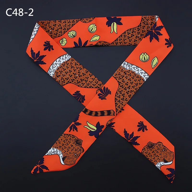 C48 (6)