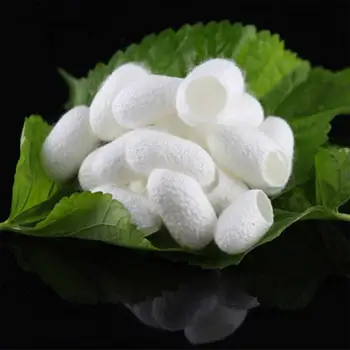 Silkworm Cocoons Ball for Facials Clean 10 pcs Purifying Whitening Exfoliating Scrub Blackhead Remover Natural Silk Cocoons
Silkworm Cocoons Ball for Facials Clean 10 pcs Purifying Whitening Exfoliating Scrub Blackhead Remover Natural Silk Cocoons