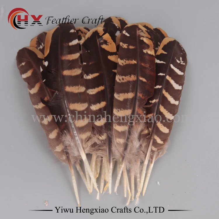 10 pcs/lot Brand New 10-15cm Pheasant Wing Feathers For Wedding Party Millinery Art Craft Home Decoration
10 pcs/lot Brand New 10-15cm Pheasant Wing Feathers For Wedding Party Millinery Art Craft Home Decoration