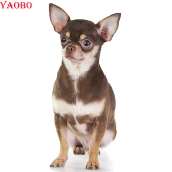 Diy Diamond Embroidery chihuahua Dog Diamond Painting Cross Stitch full Square Round Mosaic Picture wall decoration Needlework
Diy Diamond Embroidery chihuahua Dog Diamond Painting Cross Stitch full Square Round Mosaic Picture wall decoration Needlework