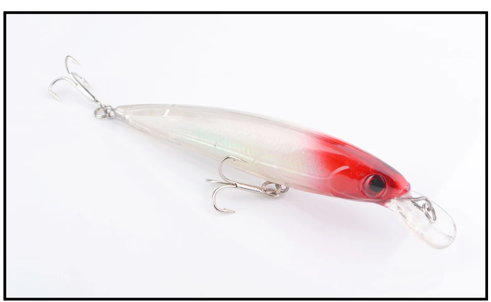 minnow1_13