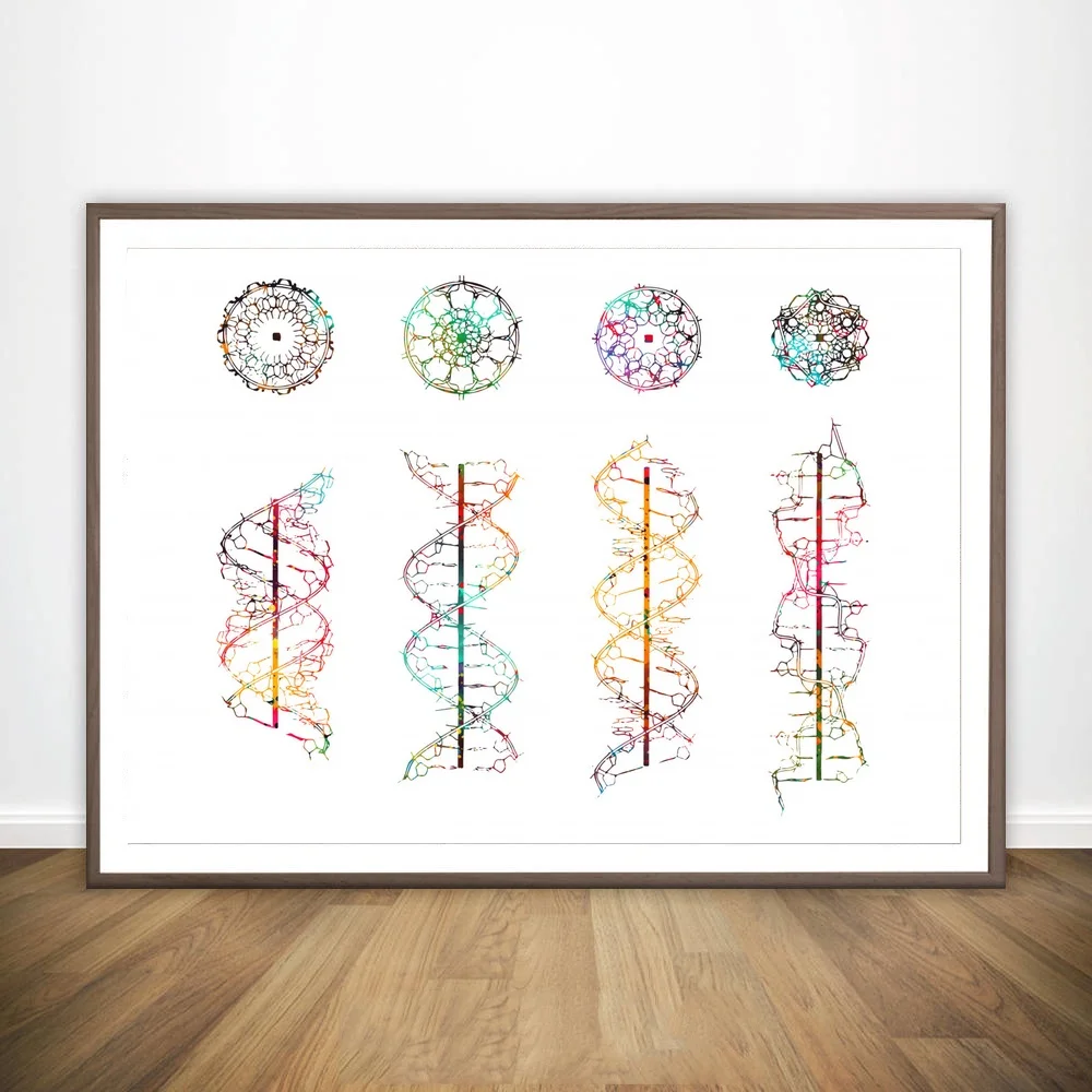 Dna Helix Conformation Dopamine Eye Anatomy Eye Anatomy Female And Male Anatomical Medical And Science Poster
Dna Helix Conformation Dopamine Eye Anatomy Eye Anatomy Female And Male Anatomical Medical And Science Poster