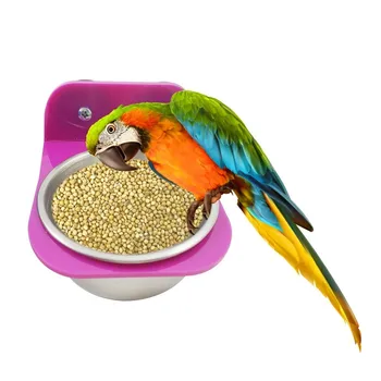 Stainless Steel Parrot Bird Feeders Food Water Feeding Bird Cups With Clamp Parakeet Cage Stand Holder Bird Supplies
Stainless Steel Parrot Bird Feeders Food Water Feeding Bird Cups With Clamp Parakeet Cage Stand Holder Bird Supplies