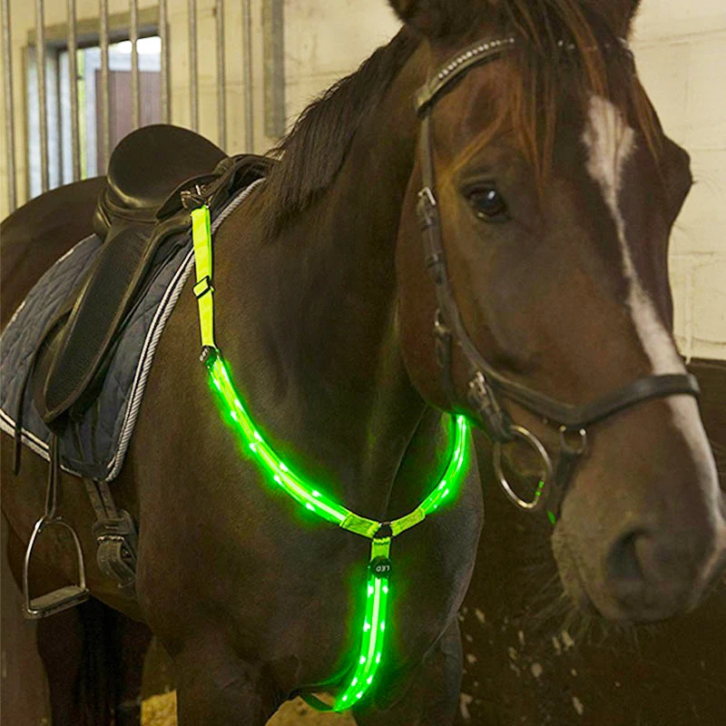 MOYLOR Horse Breastplate Dual LED Horse Harness Nylon Night Visible Horse Riding Equipment Racing Equitation Cheval Belt C
MOYLOR Horse Breastplate Dual LED Horse Harness Nylon Night Visible Horse Riding Equipment Racing Equitation Cheval Belt C