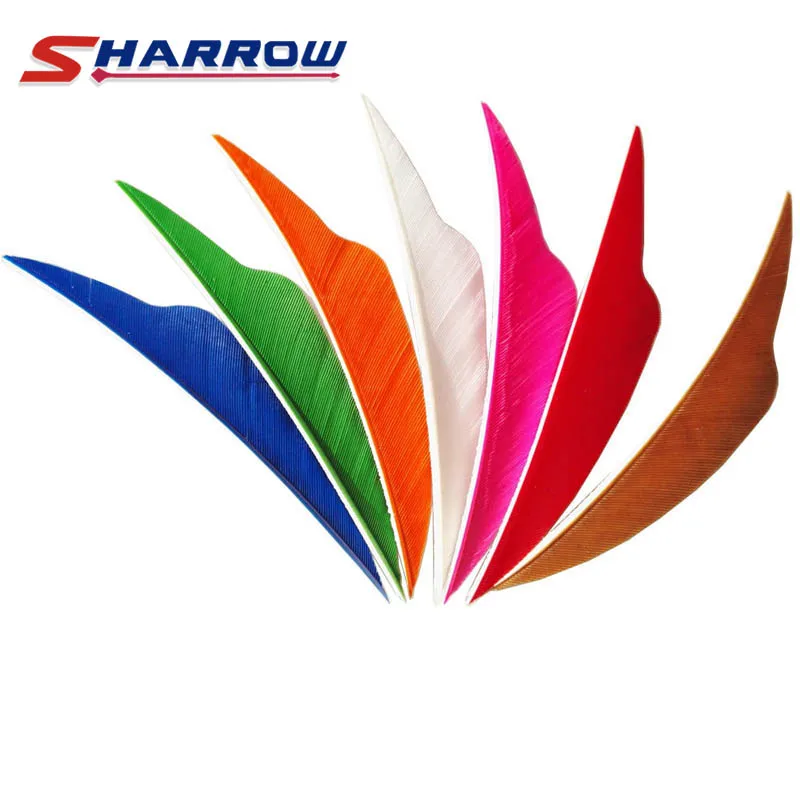60 Pcs 4 inch Multicolor Turkey Feather for Archery Hunting and Shooting Arrow Feather
60 Pcs 4 inch Multicolor Turkey Feather for Archery Hunting and Shooting Arrow Feather