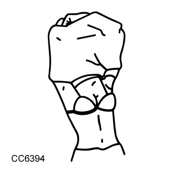 cc s (11)