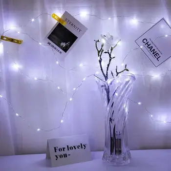 50 LEDs String Lights with Remote USB Power Plug Indoors Decoration for Hoilday Festivel Home Party Wedding Decoration Lights
50 LEDs String Lights with Remote USB Power Plug Indoors Decoration for Hoilday Festivel Home Party Wedding Decoration Lights