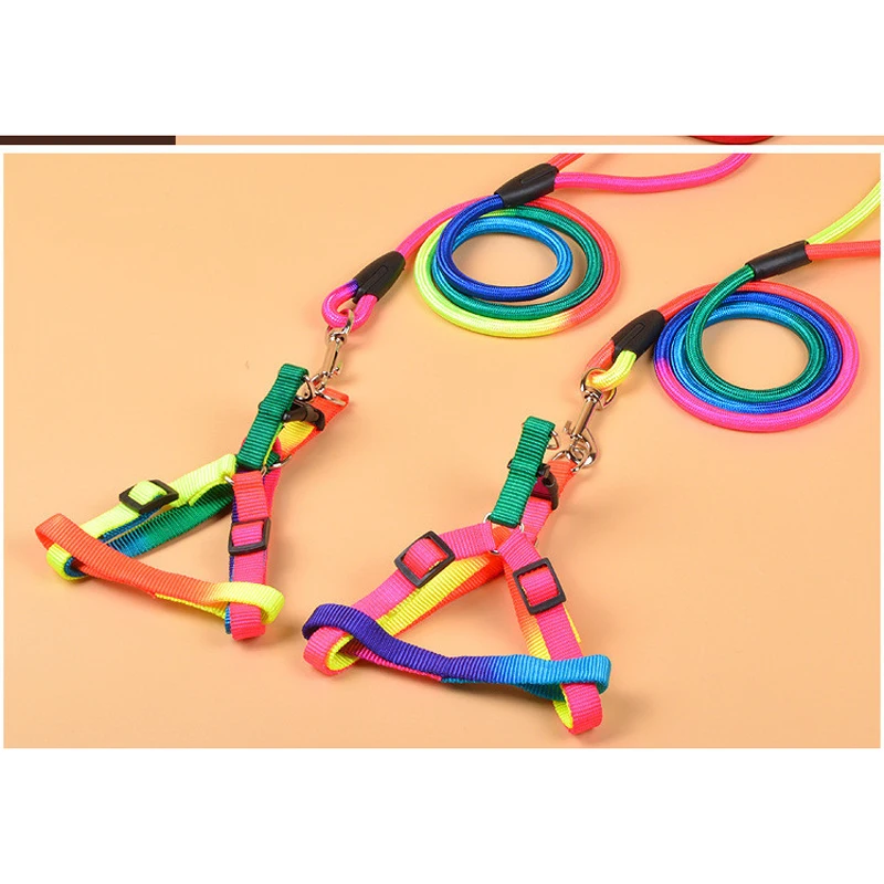 Colorful Dog Harness And Leash Set Soft Walking Pet Vest Traction Colorful And Durable Round Leash Nylon Dog Chest Strap
Colorful Dog Harness And Leash Set Soft Walking Pet Vest Traction Colorful And Durable Round Leash Nylon Dog Chest Strap