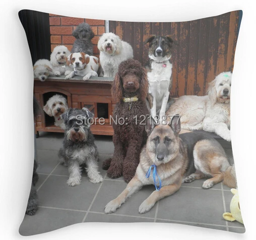 Free Shipping 18" x 18"(two sides) Best Selling Funny Hold It! Photo Day at Doggy School Custom Rectangle Throw Pillow case | Дом и