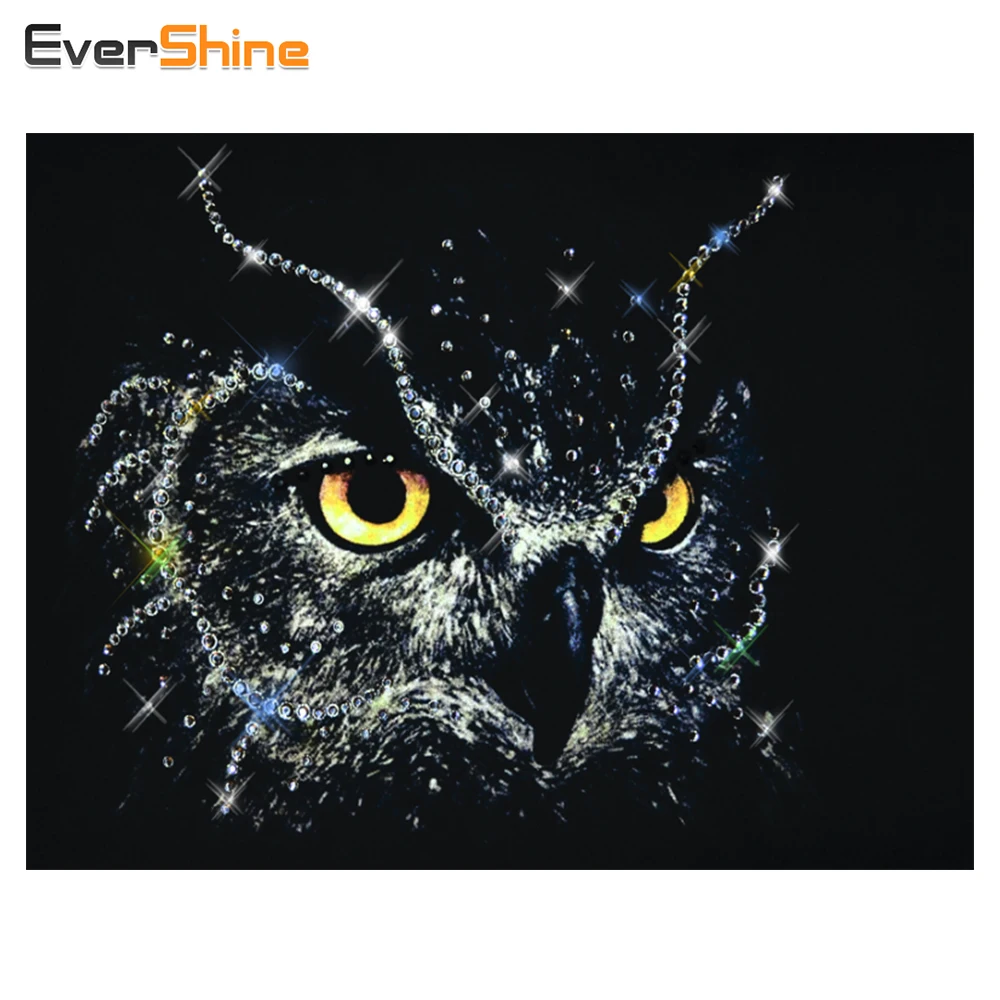 EverShine 5D DIY Animals Diamond Embroidery Owl Diamond Painting Cross Stitch Picture Of Rhinestones Handmade Mosaic Kits
EverShine 5D DIY Animals Diamond Embroidery Owl Diamond Painting Cross Stitch Picture Of Rhinestones Handmade Mosaic Kits