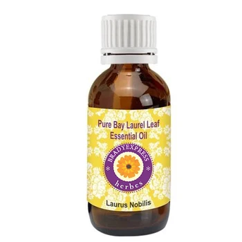 FRee Shipping Pure Bay Laurel Leaf Essential Oil Laurus nobilis 100% Natural Therapeutic Grade 5ML
FRee Shipping Pure Bay Laurel Leaf Essential Oil Laurus nobilis 100% Natural Therapeutic Grade 5ML