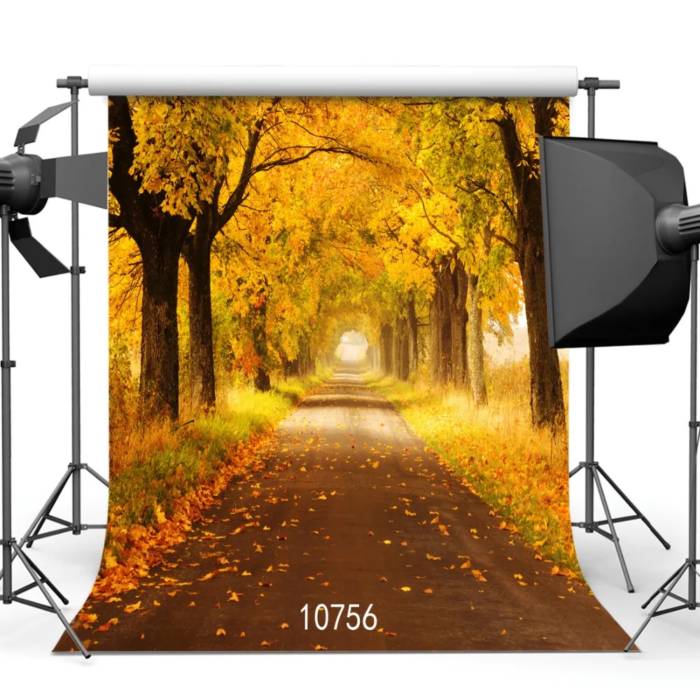 Photography Backdrops Autumn Yellow Leaves Tree Tunnel Vinyl Cloth Photo Background for Studio Portrait Photocall for Photophone
Photography Backdrops Autumn Yellow Leaves Tree Tunnel Vinyl Cloth Photo Background for Studio Portrait Photocall for Photophone