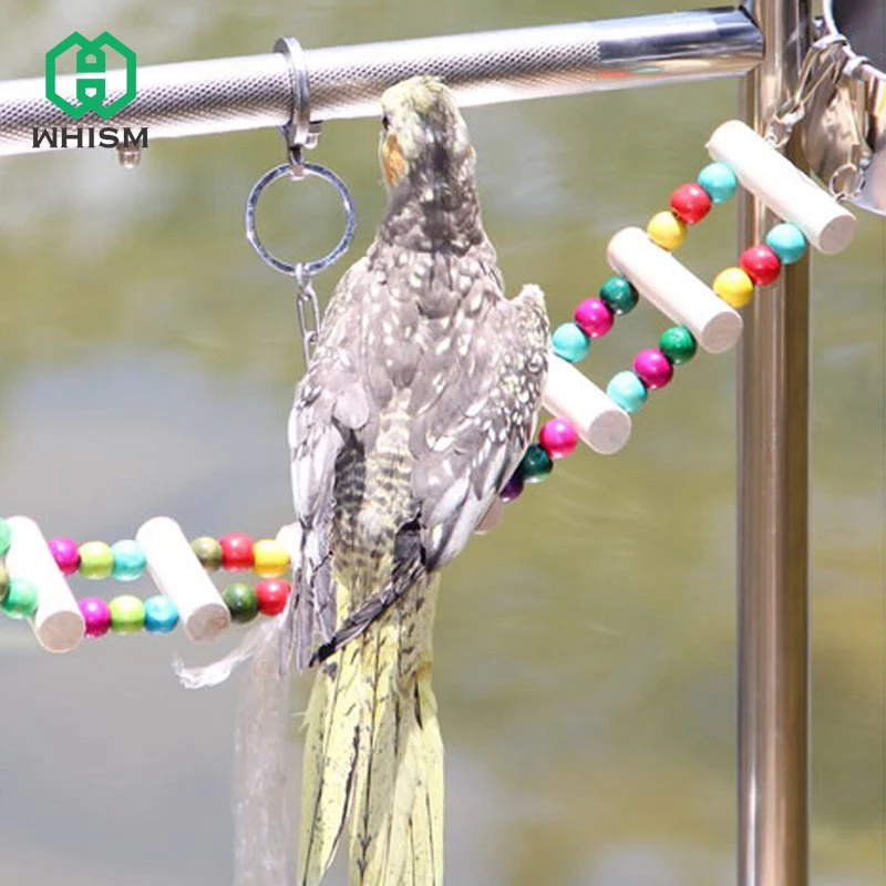 WHISM Birds Toy Wooden Ladders Swing Scratcher Perch Climbing Ladder Pet Parrot Rope Macaw Bites Budgie Cage Hamsters Toys
WHISM Birds Toy Wooden Ladders Swing Scratcher Perch Climbing Ladder Pet Parrot Rope Macaw Bites Budgie Cage Hamsters Toys