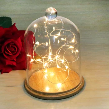 80cm Wine Bottle Cork Lights LED String Lights Copper Night Light for Bottle DIY Party Decor Christmas Halloween Wedding
80cm Wine Bottle Cork Lights LED String Lights Copper Night Light for Bottle DIY Party Decor Christmas Halloween Wedding