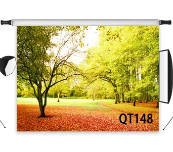 LB Polyester & Vinyl Autumn Forest Park Withered Leaves Backdrops Background For Photography Studio Backdrop Photo Props Decor
LB Polyester & Vinyl Autumn Forest Park Withered Leaves Backdrops Background For Photography Studio Backdrop Photo Props Decor