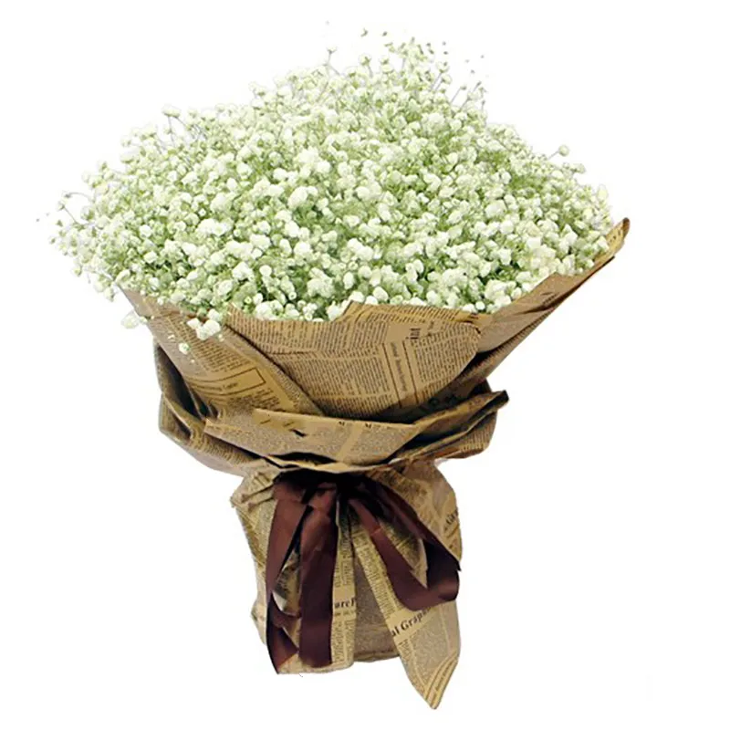 15-22‘’ 100g Natural Babys Breath Flowers Bouquet Fresh Real Touch Forever For Wedding Decoration DIY Eternal Flower Material
15-22‘’ 100g Natural Babys Breath Flowers Bouquet Fresh Real Touch Forever For Wedding Decoration DIY Eternal Flower Material