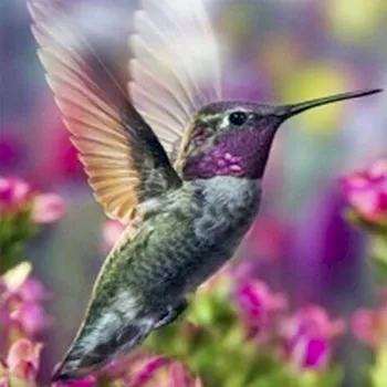 5D DIY Diamond Mosaic DIY Diamond painting cross stitch Painting Crafts Diamond Embroidery Decoration Gifts Flying bird
5D DIY Diamond Mosaic DIY Diamond painting cross stitch Painting Crafts Diamond Embroidery Decoration Gifts Flying bird