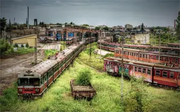 Living room home wall decoration fabric poster abandoned subway cars and trains overgrown with weeds
Living room home wall decoration fabric poster abandoned subway cars and trains overgrown with weeds