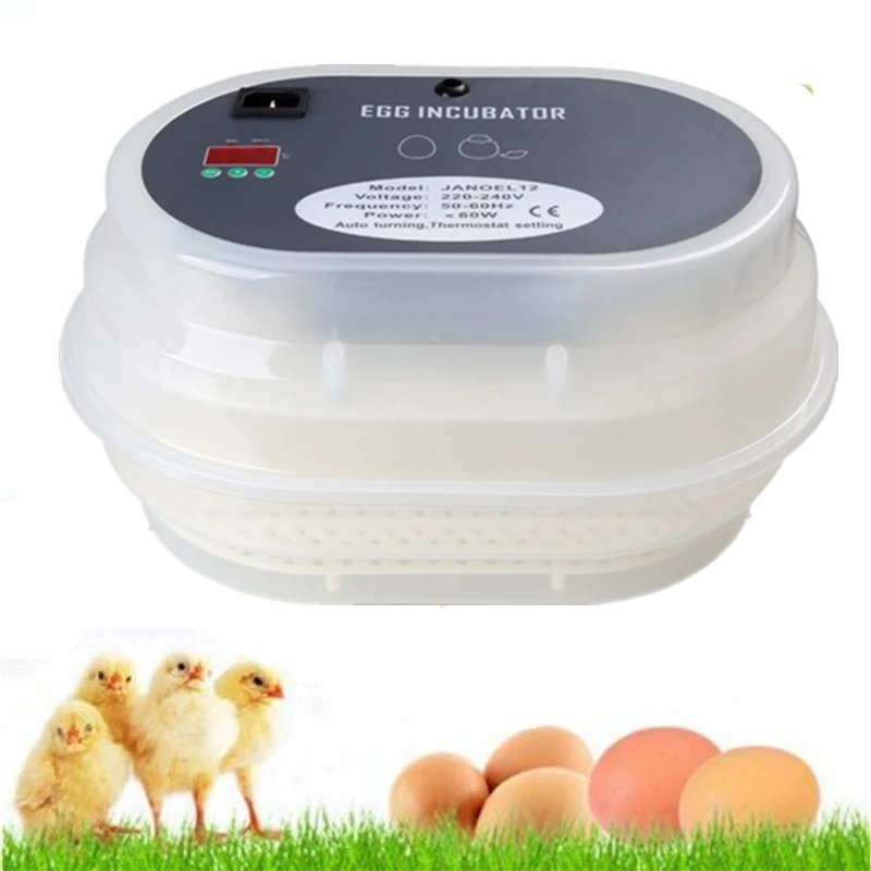 Best Sale 12 Eggs Incubator Hatcher Machine Digital Temperature Control Automatic Turning Poultry Incubation Tray
Best Sale 12 Eggs Incubator Hatcher Machine Digital Temperature Control Automatic Turning Poultry Incubation Tray