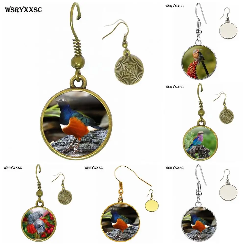 EJ Glaze Bronze/Silver/Golden Clip Ear Hook Drop Earrings Cartoon Jewelry For Christmas Gift Congo African Red Tail Grey Parrot
EJ Glaze Bronze/Silver/Golden Clip Ear Hook Drop Earrings Cartoon Jewelry For Christmas Gift Congo African Red Tail Grey Parrot