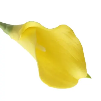FJS 10pcs Elegant Lifelike Real Touch Artificial PU Calla Lily Flower Wedding Flower Bouquets (Yellow)
FJS 10pcs Elegant Lifelike Real Touch Artificial PU Calla Lily Flower Wedding Flower Bouquets (Yellow)