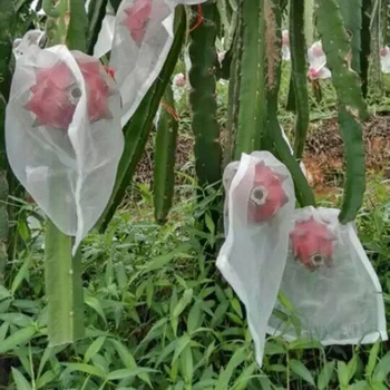 50Pcs Set Garden Plant Fruit Protect Drawstring Mesh Net Bag Anti Bird Netting Breeding Bag Prevent Fruit Tree Mosquitoes
50Pcs Set Garden Plant Fruit Protect Drawstring Mesh Net Bag Anti Bird Netting Breeding Bag Prevent Fruit Tree Mosquitoes