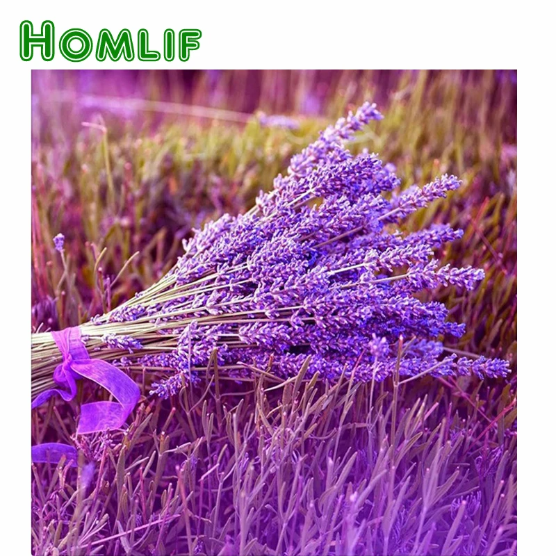 HOMLIF 3D Lavender 60x60 Cm Diamond Embroidery Diy Diamond Square Drill Rhinestone Pasted Crafts Needlework Home Decoration
HOMLIF 3D Lavender 60x60 Cm Diamond Embroidery Diy Diamond Square Drill Rhinestone Pasted Crafts Needlework Home Decoration