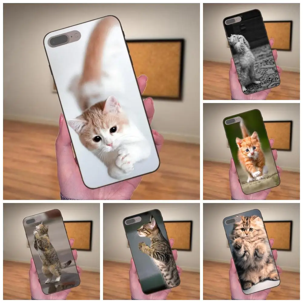 Pretty Praying Kittens Cats Print For Huawei Honor Enjoy Mate Note 6s 8 9 10 20 P20 P30 Lite Play Pro P smart Soft Cell Bags
Pretty Praying Kittens Cats Print For Huawei Honor Enjoy Mate Note 6s 8 9 10 20 P20 P30 Lite Play Pro P smart Soft Cell Bags