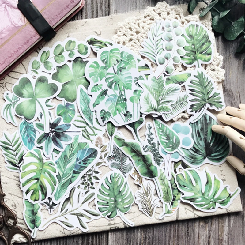56PCS stickers magazine wind turtle back large broad-leaved plant illustration sulfuric acid paper fern scrapbooking decorative
56PCS stickers magazine wind turtle back large broad-leaved plant illustration sulfuric acid paper fern scrapbooking decorative