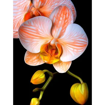 5D DIY full Square drill Diamond painting Cross stitch orchid Diamond embroidery Mosaic decor
5D DIY full Square drill Diamond painting Cross stitch orchid Diamond embroidery Mosaic decor