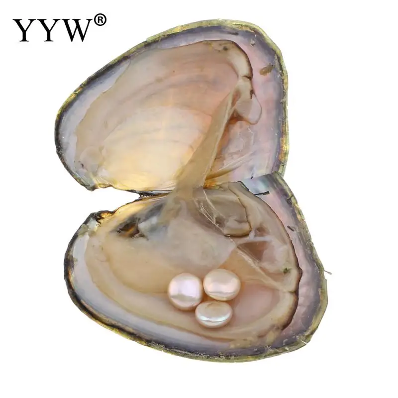 YYW Jewelry Natural Freshwater Cultured Love Wish Pearls Beads Oyster 10-11mm Button Randomly Color Vacuum-packed Shell Oysters
YYW Jewelry Natural Freshwater Cultured Love Wish Pearls Beads Oyster 10-11mm Button Randomly Color Vacuum-packed Shell Oysters